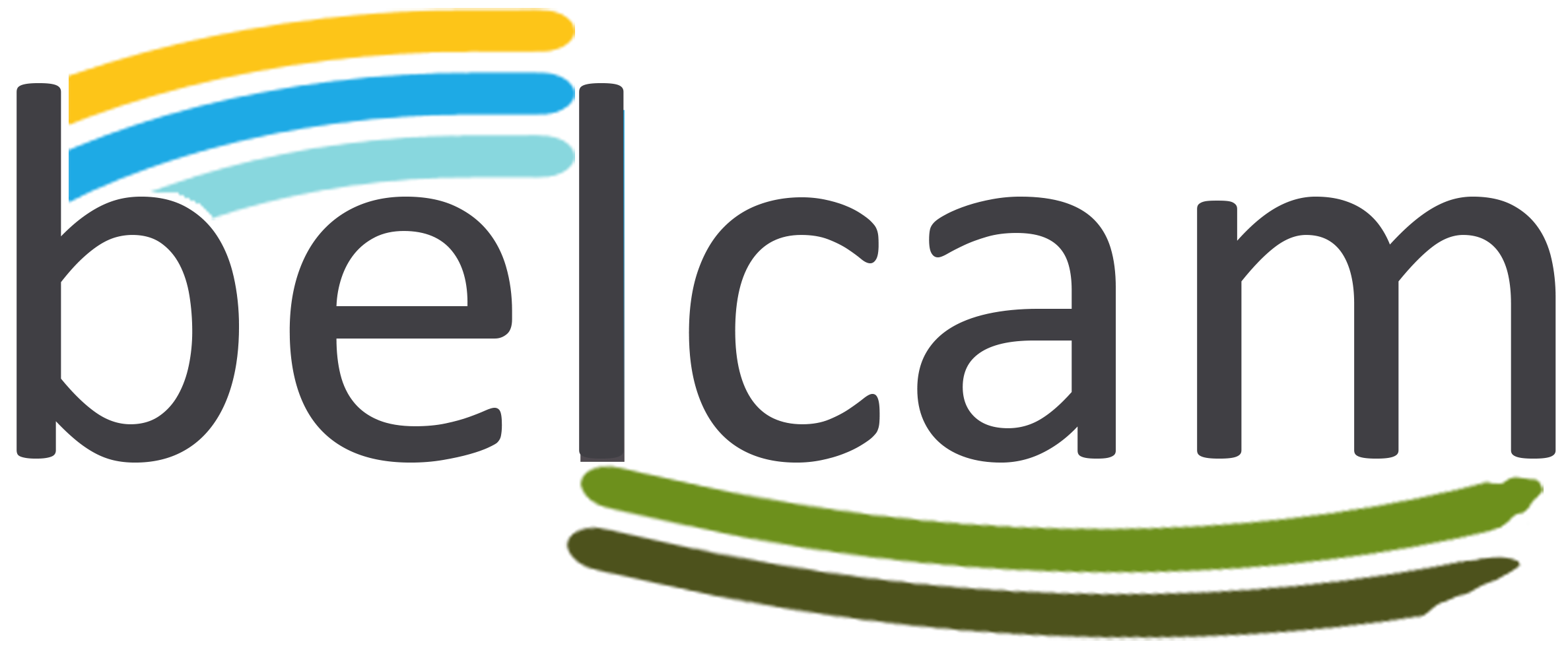 logo de Belcam